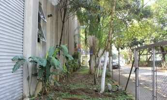 Imagem 5: Excelente galpão disponível para venda!