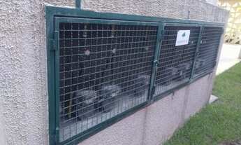 Imagem 6: Apartamento 1 dorm para Venda - Pontal do Sul, Pontal do Paraná - 44m², 1 vaga