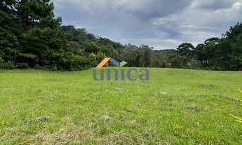 Imagem 6: Terreno - Campo Alegre