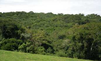 Imagem 6: Área rural à venda, Rio Abaixo, Jarinu
