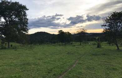 Imagem 10: Sítio 5 alqueires Petrolina de Goiás ( chácara