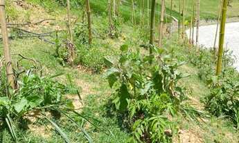 Imagem 3: Lote / Terreno em Amparo - Nova Friburgo