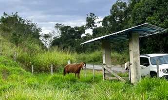 Imagem 5: Sítio 3 Alqueires