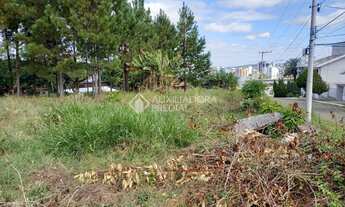 Imagem 5: NOVO HAMBURGO - Terreno Padrão - Vila Nova