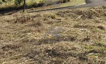 Imagem 3: Terreno - Joaquim Egídio - Campinas