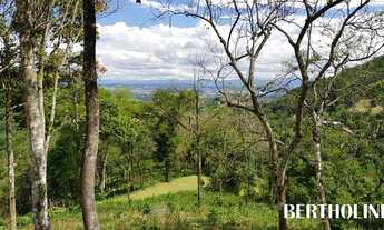 Imagem 6: PENEDO - Terreno Padrão - Penedo