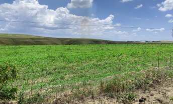 Imagem 4: Oportunidade! Vende-se um fazenda de 166 Alqueires