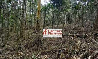 Imagem 6: Terreno à venda, 20000 m² por R$ 1.700.000,00 - Aralú - Santa Isabel/SP