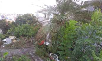 Imagem 5: Comercial-São Paulo-IPIRANGA