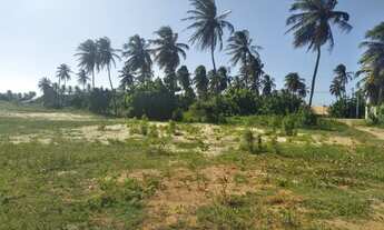 Imagem 7: Vendo terreno praia de flecheiras Trairi ceara brasil
