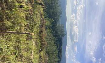 Imagem 4: R5- Conheça já Imóvel para venda possui 600 metros quadrados em Centro - Mairiporã - São P