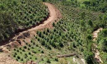 Imagem 15: Lote/Terreno para venda com 1000 metros quadrados