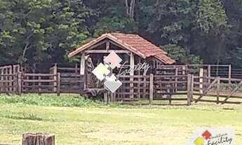 Imagem 7: Linda fazenda na região de Rio Claro