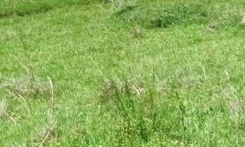 Imagem 3: Terreno fechado em sp - igarata 600m²