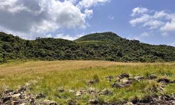 Imagem 4: TERRENO CAMPO DOS PADRES - ÁREA 59