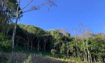 Imagem 2: GRAMADO - Terreno Padrão - Linha Avila