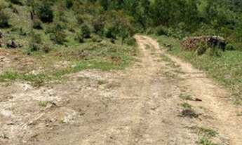 Imagem 16: Lote/Terreno para venda com 1000 metros quadrados