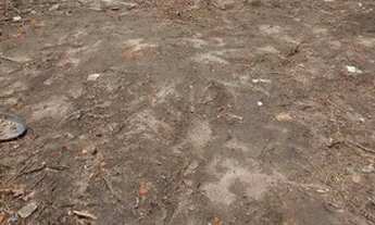 Imagem 2: Terreno no barrio Sim