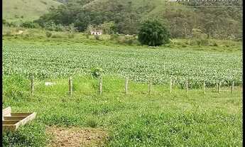Imagem 7: FAZENDÃO 220 ALQUEIRES PARA LEITE/CORTE - CRUZEIRO - SP