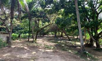 Imagem 5: Ótimo e tranquilo Sítio em Barra de Pojuca a 2 km da BA-099 30.000m2