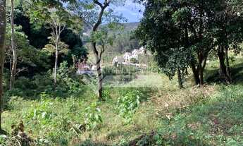 Imagem 2: Terreno rua valorizada no bairro Conego