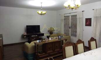 Imagem: Moema- Jardim Novo mundo