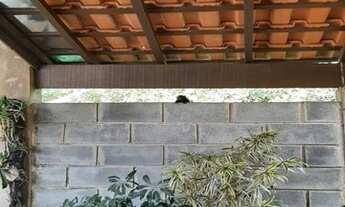 Imagem: VARGEM GRANDE PAULISTA - Casa Padrão