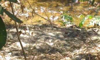 Imagem 2: Chacara barata muita água