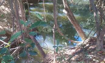 Imagem 4: Fazenda Perto De Formosa - 20 Alqueires - Formada Com Pastagem - Plana - m. O. n. E