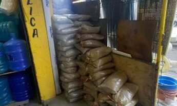 Imagem 3: Vendo Loja no Tuiuti