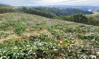 Imagem 3: Terrenos igaratá