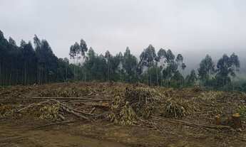 Imagem 3: Venda de terrenos e lotes