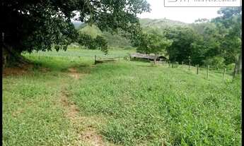 Imagem 6: FAZENDÃO 220 ALQUEIRES PARA LEITE/CORTE - CRUZEIRO - SP