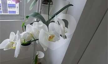 Imagem 5: São Paulo - Apartamento Padrão - VILA NOVA CONCEIÇÃO