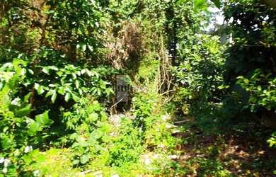 Imagem 6: TERRENO NO CONDOMÍNIO FOREST HILLS COM EXCELENTE TOPOGRAFIA! VALE A PENA CONFERIR!