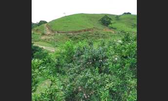 Imagem 3: 29.000M² toda na laranja em CABUÇU (Itaboraí RJ