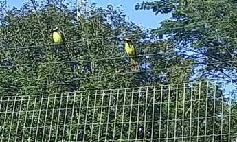 Imagem 2: Terreno a venda no condominio de chacara ou sitio na ecovila Santa Branca em Terezópolis G