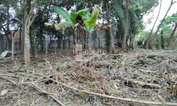 Imagem 3: FAZENDINHA - PARTE ALTA