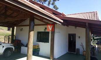 Imagem 4: Fazenda/Sítio/Chácara para venda tem 55000 metros quadrados com 3 quartos