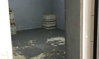 Imagem 7: Avenida Lins de Vasconcelos - Cambuci