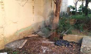 Imagem 6: Terreno com ótima localização na CASA VERDE