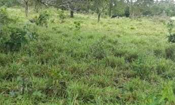 Imagem 6: VENDO FAZENDA COM 83 HECTARES