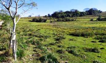 Imagem 2: Chácara com 1 dormitório à venda, 45000 m² por R$ 450.000,00 - Fazenda Leão - Sapiranga/RS