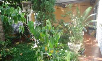 Imagem 2: Campinas - Casa Padrão - Jardim Eulina