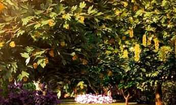 Imagem 5: Lançamento de lotes em condomínio fechado