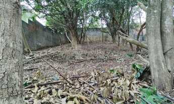 Imagem 4: FAZENDINHA - PARQUE DAS FIGUEIRAS