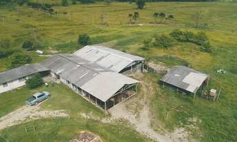Imagem 6: Fazenda com 204 HA à venda em Penha, Paulo Lopes