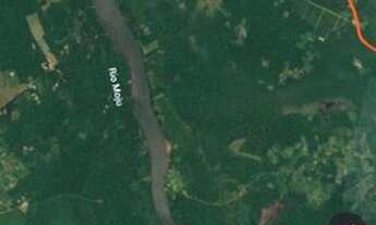 Imagem 2: Vendo Fazenda Mojú 5.000 hectares