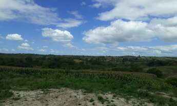 Imagem 5: Vende-se excelente Fazenda em Gravatá com 11.7 hectares. Referência: 0275