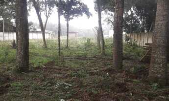 Imagem 6: Terreno - Guatupê